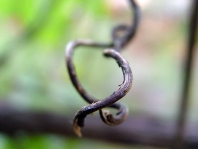 organic sculpture 4