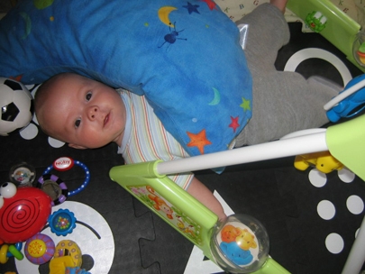 playpen mayhem