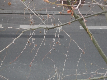 view from my window