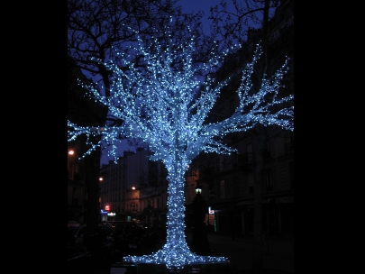 christmas tree