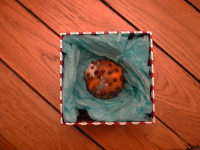 clementine&girofle
