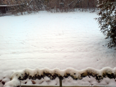 5 cm of snow :-(