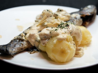 e- dish #1: 