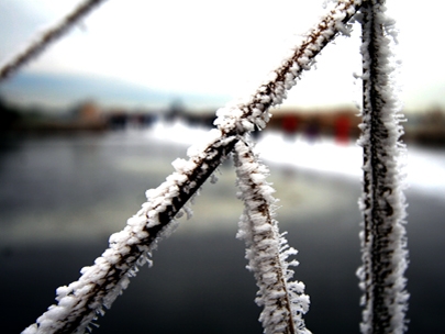 freezing balls