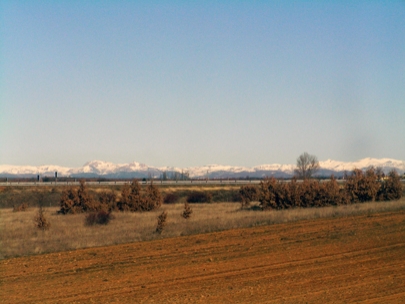 near