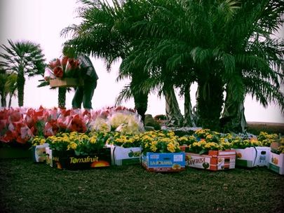 flower workers