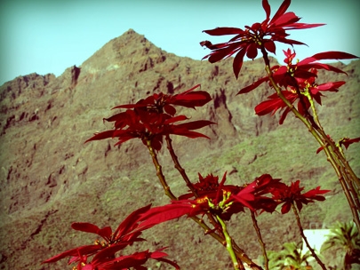 mountain stories #1