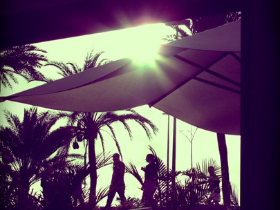 sun is back!