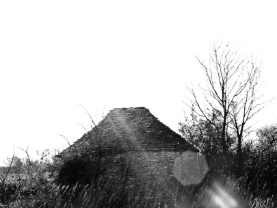 driving through fields of istarski huts (istria, croatia)