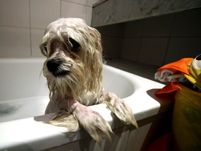 manu's bath