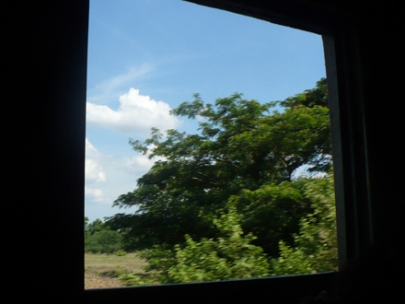 Seat with a View
