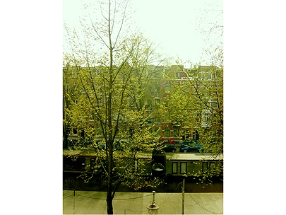 oh sweet amsterdam