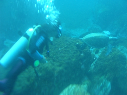 Scuba diving with my friend, the turtle