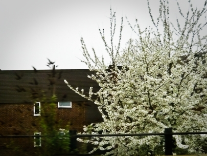 south london