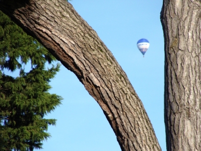 Montgolfiera