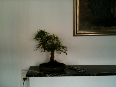 a tree of love