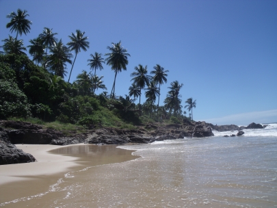 paradise