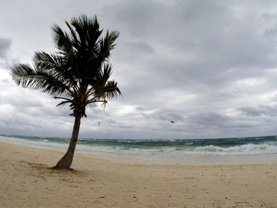 blown by the wind