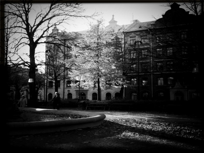 Inner city nature