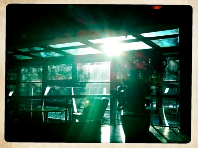 Sunny