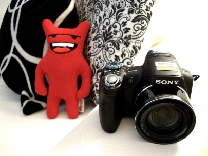 New year, new pet and new camera!