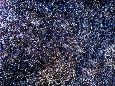 my rug