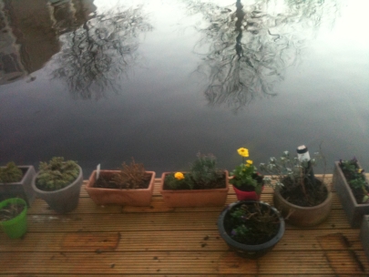 preparing spring