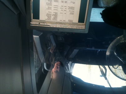 confusing trip