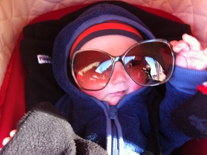big eyes catch sun