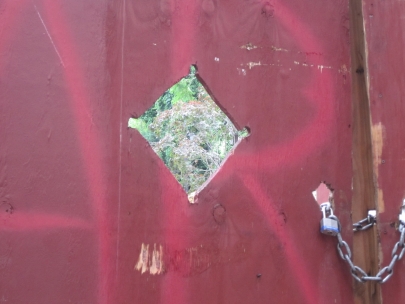 peekaboo nature