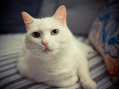 zoe