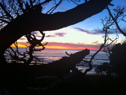 Enjoying South Cali