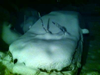 More snow?!?!?!