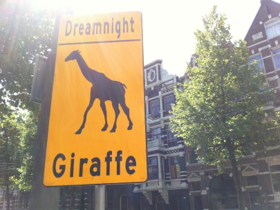 dreamnight