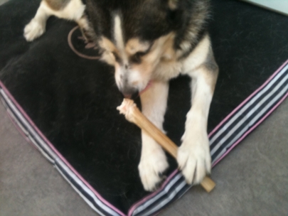 them bones