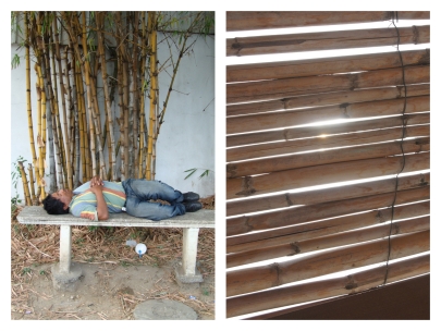 sleepingbamboo