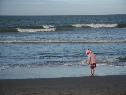 De Possum en de Zee