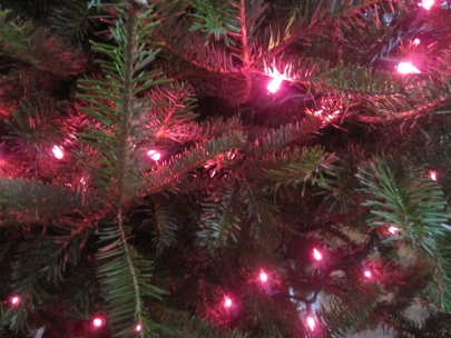 pink tree