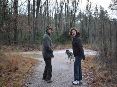 A day on the Veluwe