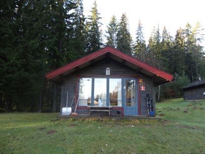 Our house in the middle of the forest