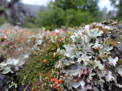 Seasonal change