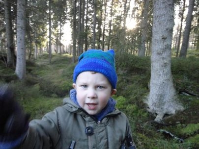 Elfling