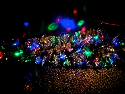 Christmas at Harlot