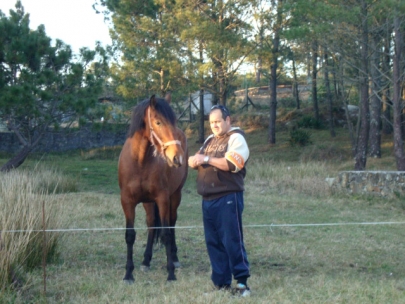 talking with horses