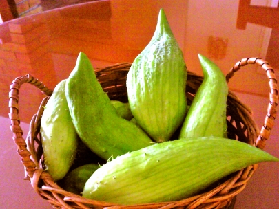 This are my 100% organic pepinos grown in my  backyard, Yummy!!