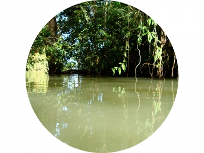 water
