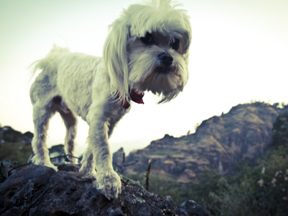manu mountain proof