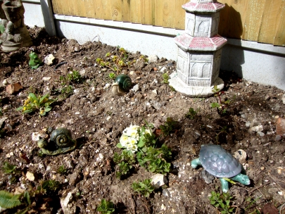 funny little garden