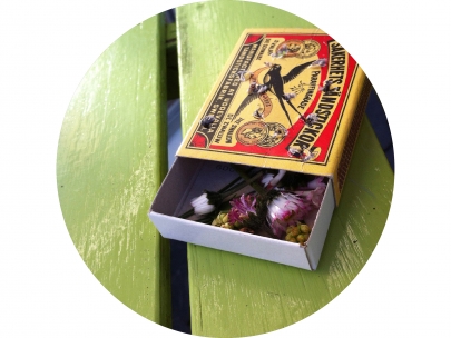 bugsbox