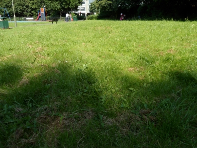 relaxing in the park